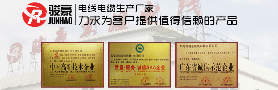 1-1P411113K0431 南宫NG28官网电线荣誉证书展示
