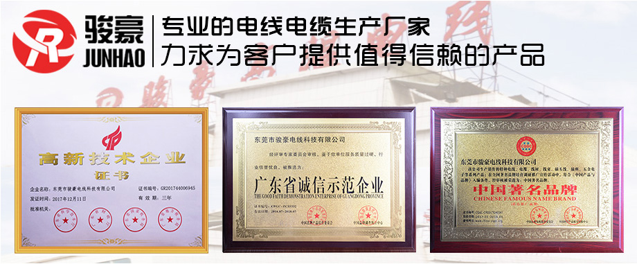 1-1Z110100312V9 南宫NG28官网电线荣誉
